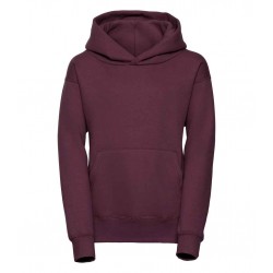 Waunarlwydd Primary Hoody 