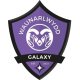 Waunarlwydd Galaxy U6 Beanie