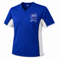 Penyrheol Comprehensive Sports T-Shirt